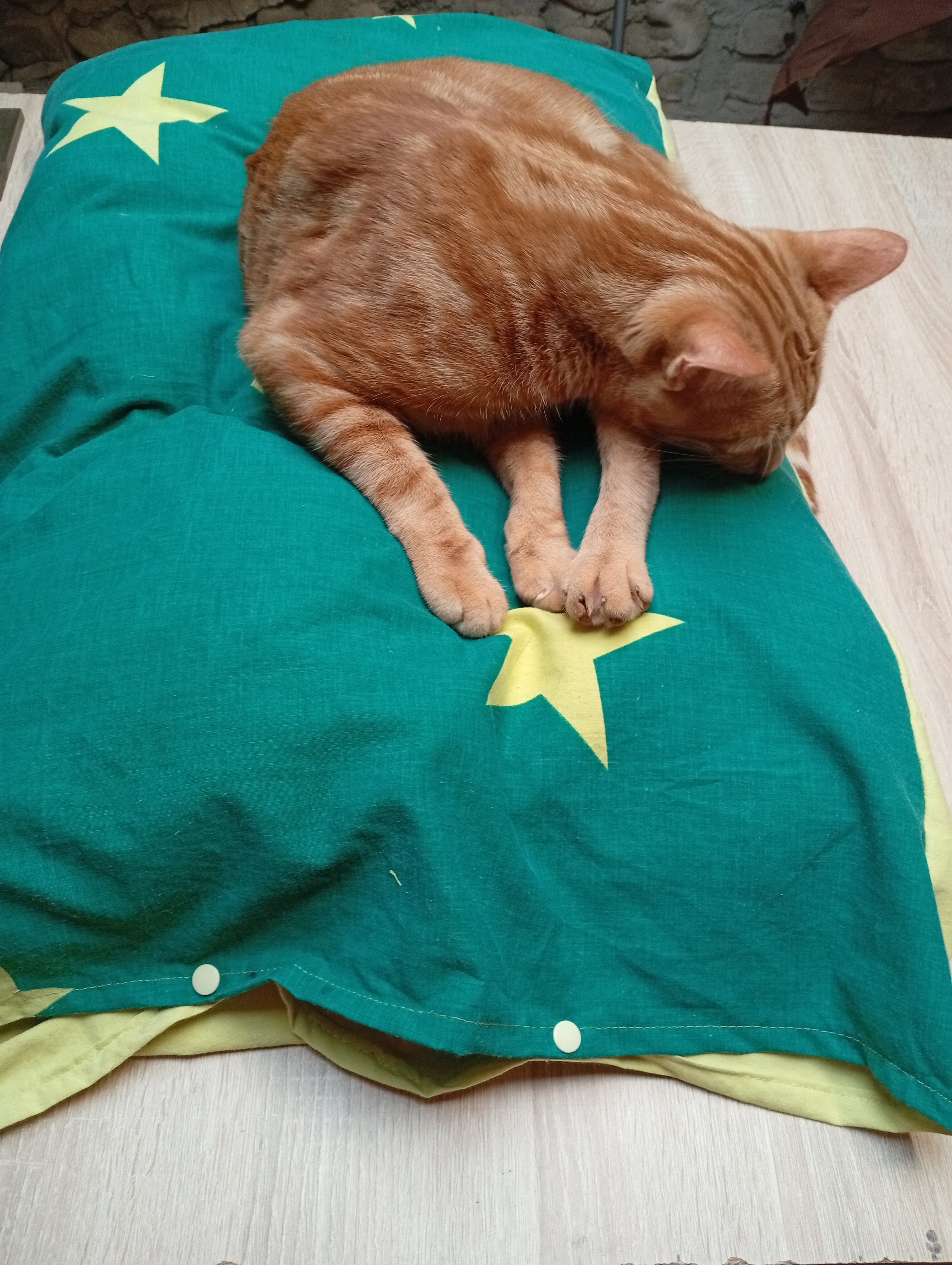Coussins pour animaux